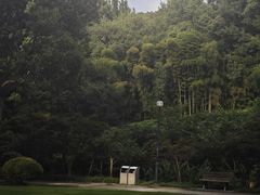 -杭州黄龙洞