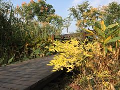 -梁鸿国家湿地公园