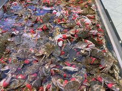 -集品鲜湾·蒸汽海鲜自助料理(青岛银座和谐广场店)