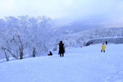 -大秃顶子山
