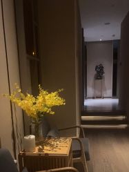 -8SPA养愈空间·新中式疗愈spa