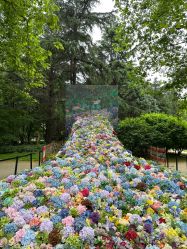 -BabyA 专业婴童摄影(古北时尚广场店)