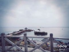 -哈素海