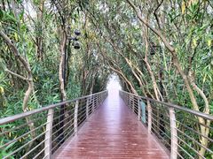 -上海吴淞炮台湾国家湿地公园