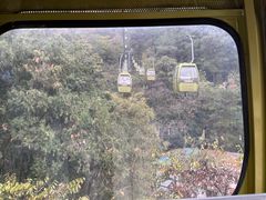 -黔灵山公园