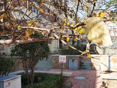 -大学路8号炸串(大学路十四号院店)