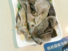 -枇杷园食为鲜火锅(南山店)