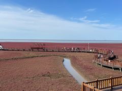 -红海滩国家风景廊道