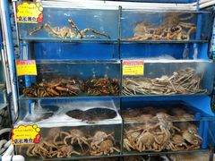 -蚝专家(北滘店)