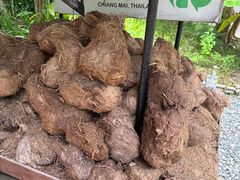 -大象粑粑造纸公园