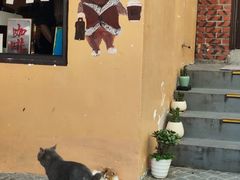 -猫岛主趣味餐厅(鼓浪屿店)