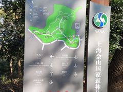 -上海佘山国家森林公园天马山园