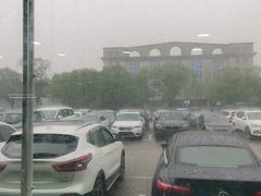 -上海市公安局交通警察总队车辆管理所三分所