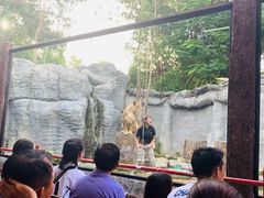 -清迈夜间动物园