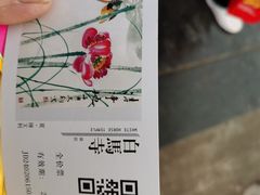 -洛阳白马寺