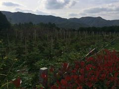 -浙东革命根据地纪念馆