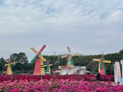 -松山湖梦幻百花洲