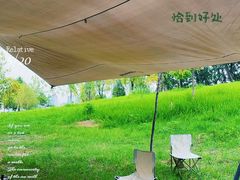 -白鹭湾湿地公园