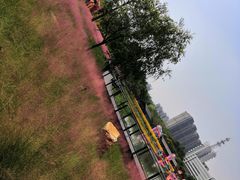-映月湖公园