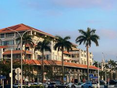 -万绿园