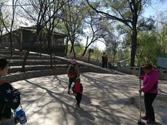 -东方巨龟苑景区