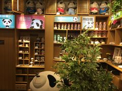 -熊猫屋(宽窄巷子景区店)