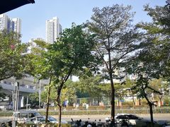 -天虹购物中心(深圳龙华店)