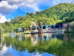 -西双版纳原始森林公园