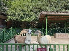 -杭州野生动物世界