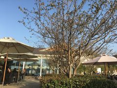 -望海·帆船主题咖啡厅•品茗下午茶(石湖景区店)