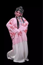 -胭脂猫京剧摄影