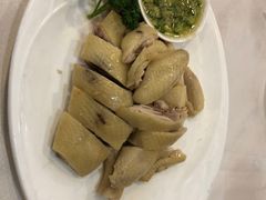 -清新鸡沙田乳鸽店(金融店)