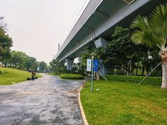 -宝安西湾红树林湿地公园