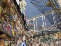 -卡通尼·Safari非洲探索乐园·生日会(金桥国际商业广场店)