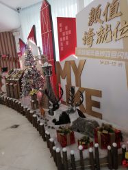 -深圳美莱医疗美容医院