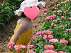 -曲江薰衣草庄园