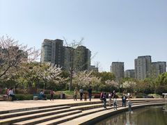 -新江湾城公园