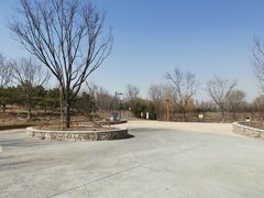 -东郊湿地公园