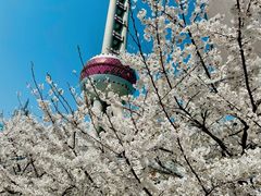 -东方明珠广播电视塔