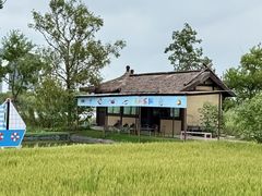 -杭州湾海上花田景区