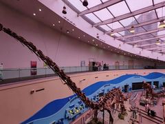 -陕西自然博物馆