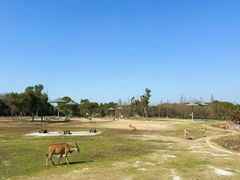 -宁波野生动物园