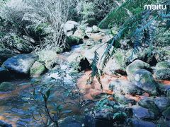 -赤水丹霞旅游区·佛光岩