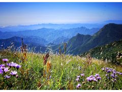 -白草畔自然风景区
