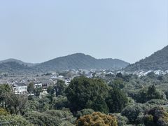 -树山生态村
