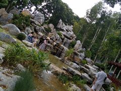 -东莞植物园