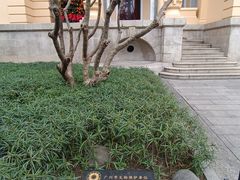 -荔湾湖公园