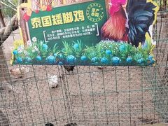 -杭州野生动物世界