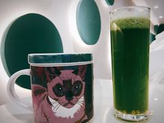 -飞行喵MR PILOT|猫舍·猫咖(静安大融城店)