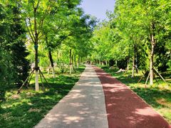 -绿岛公园(滨海新区)
